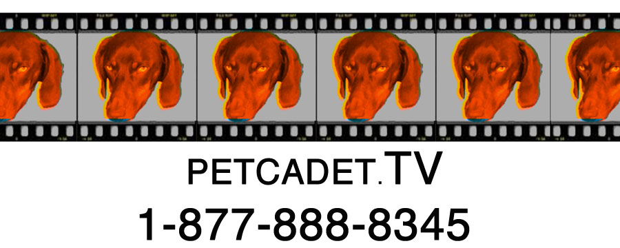 PETCADET.TV